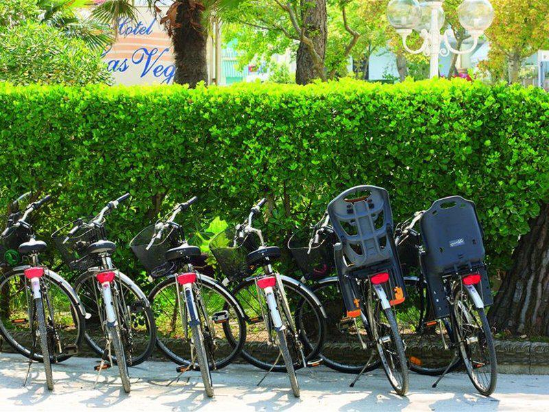 386970CDA7B1B817AD399B40A16B3EB5