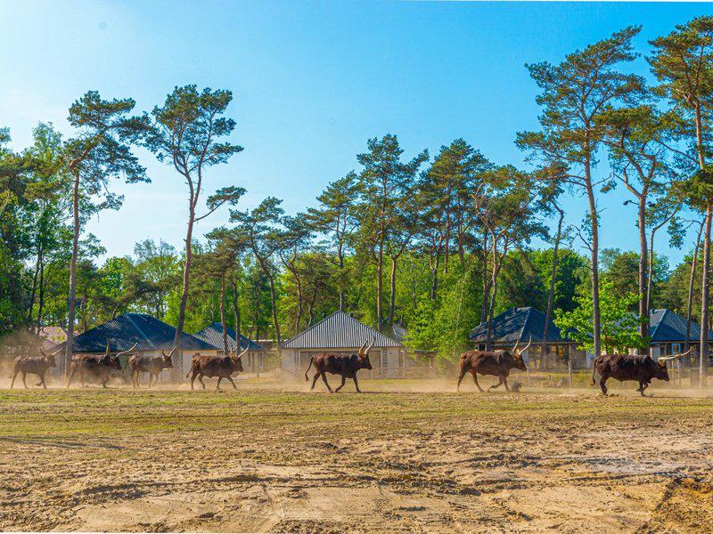 943FE026EBDE648859763B676B6CFAA8