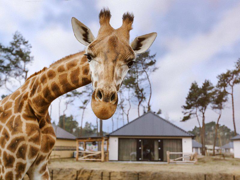 31E4FF5D9BBD50E9E1197A185A5A9F0A