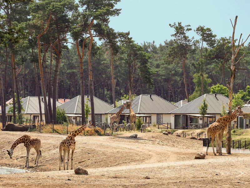 0A8CF1EF2C55D0032484ED9DB3BDE5F7