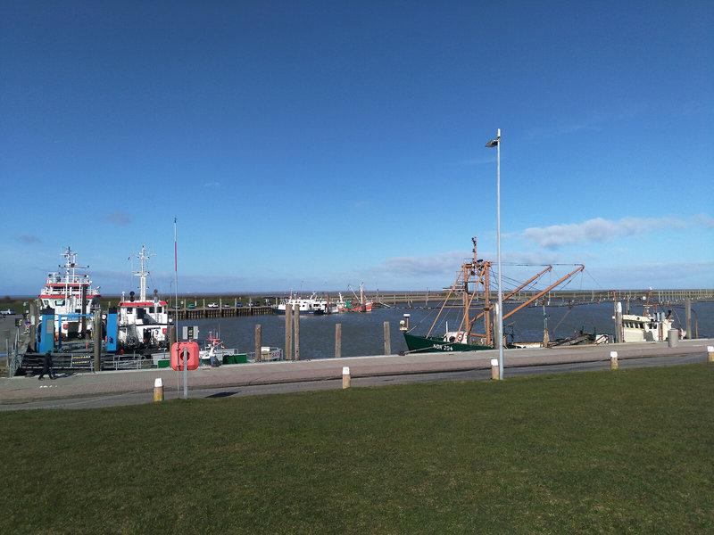 E177ADA1222C84CFB9D06D84D312C41A