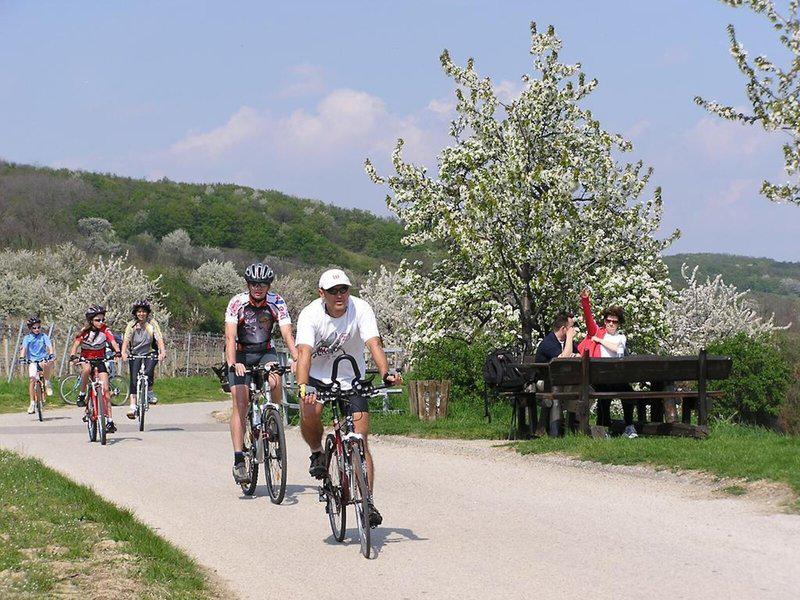 6E902BF9E78F1FBF60A10878A7F6CB4E