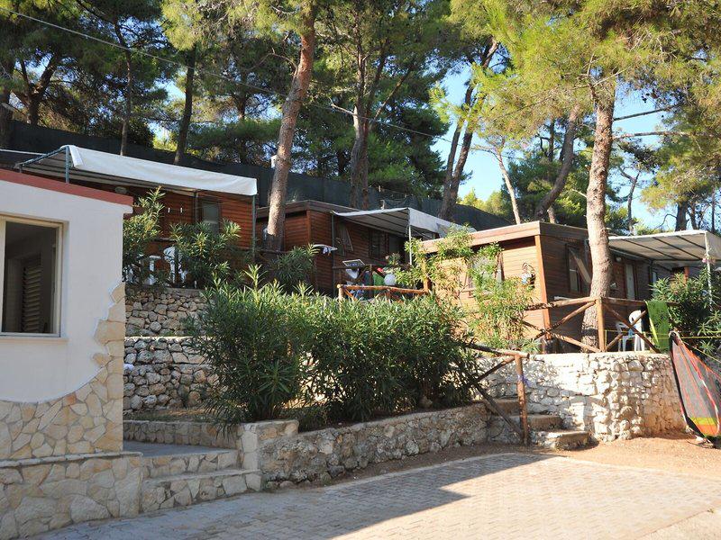 C709C8731B22E4020A4F62056C46E645