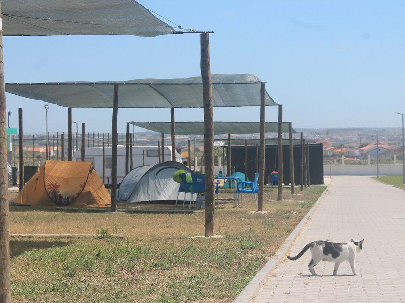 BC43B2A742C8DD9E78112C698BF7201F