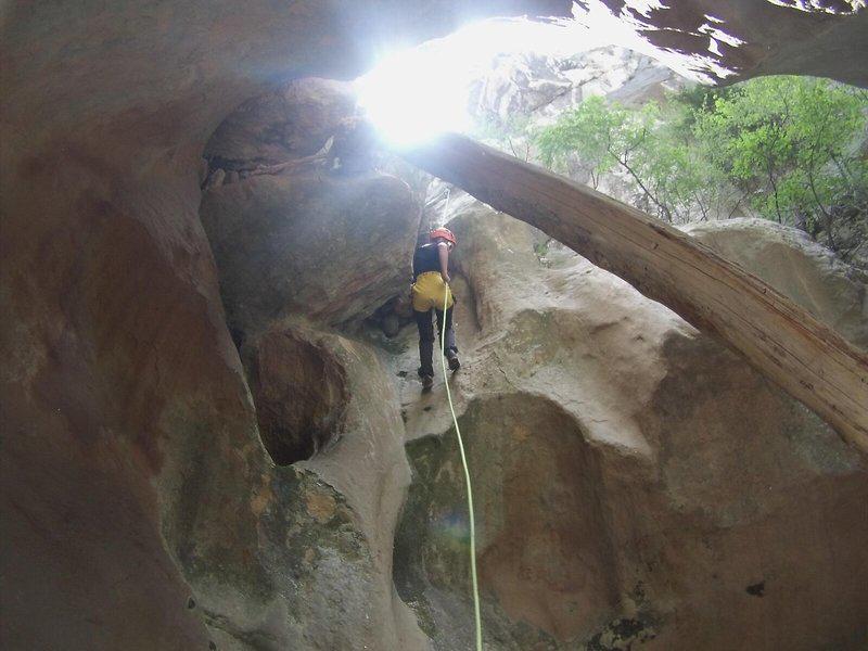 1E0157DCB519AA8832DCBFB6F2DA439A