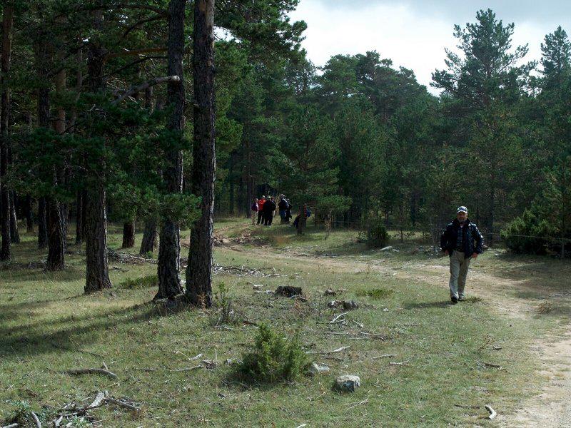 D5DD0863BDCAB9F7C2500B317A5D055B