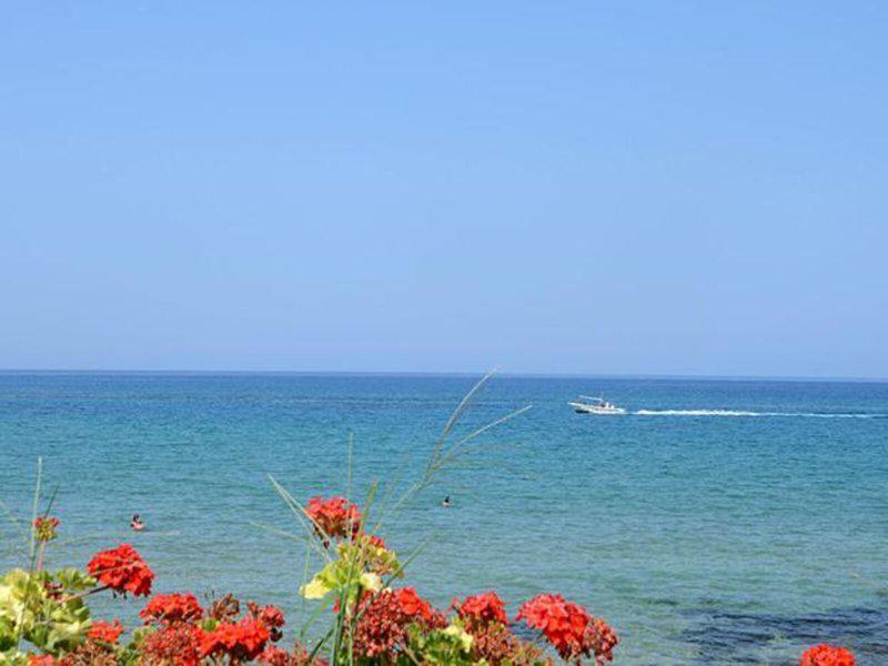 04A811616E01FFDAB0F8549B0D778816