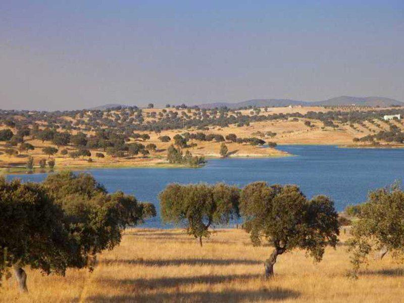 FD317976F9AE4BDD84315EF96A59D5DA