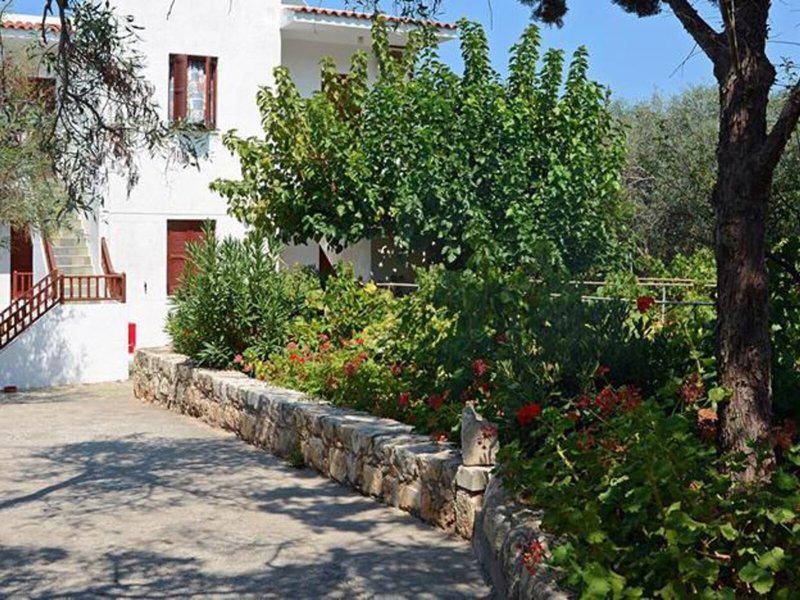 50AF256C1FFAE65AD0FD24C2F7D7BAF6