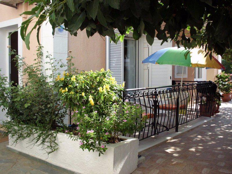 D60D5A5F65E26B8A2C4DC66C44C85893