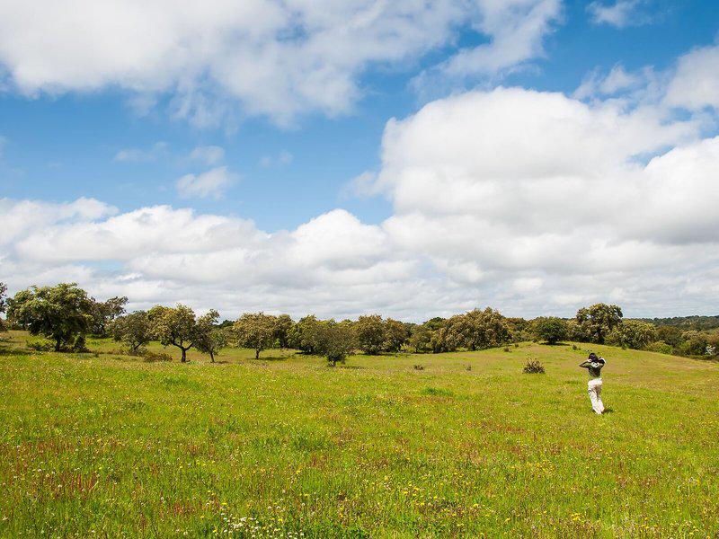 F105E7C31B719A57B47D0C131F858F2D