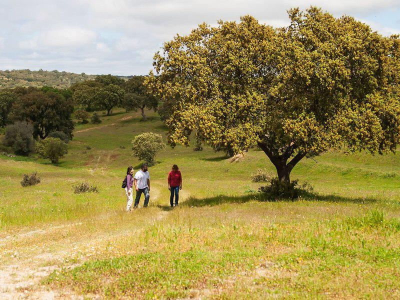 5C119C66DD08EF5F53F958142725B0E1