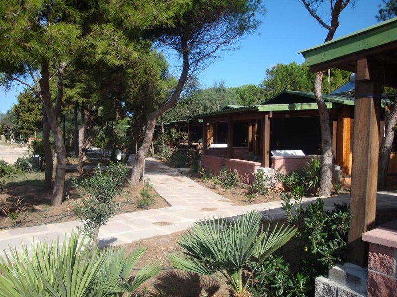 A4BB45AD2DCE95D92D9DF61208193495