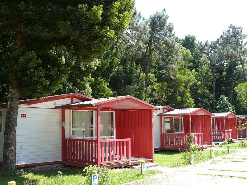 E0CE5E508186B682242BBBE83251B9B3