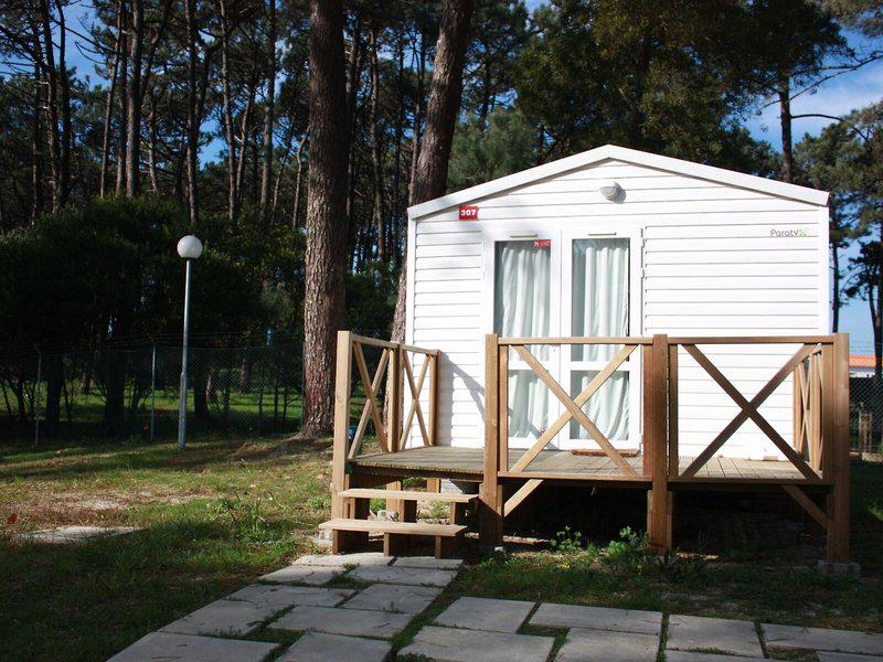 606D6DE01DB957DB053271290046C2F8