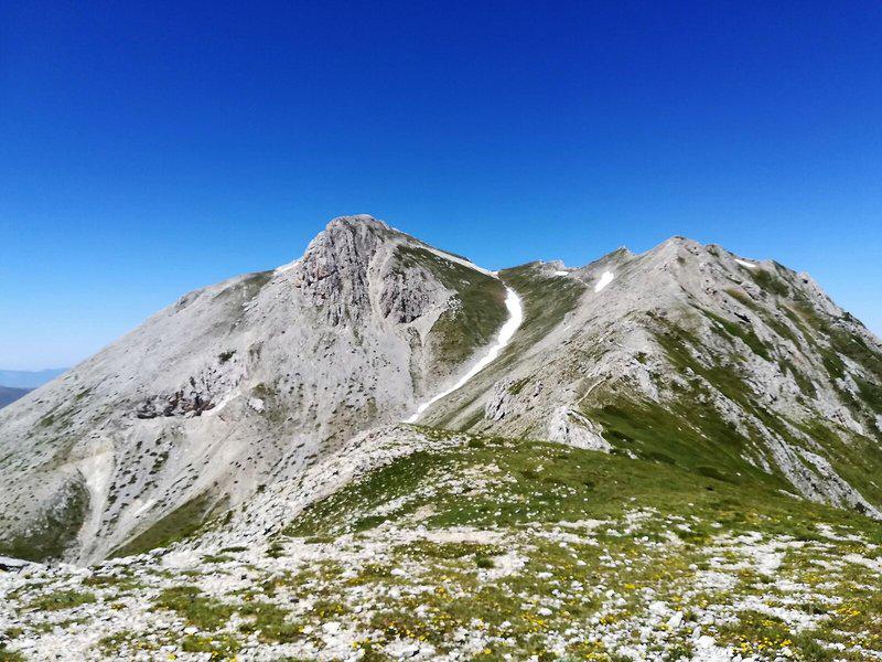 269AADED24B8A818CBBEA0FA855245CC