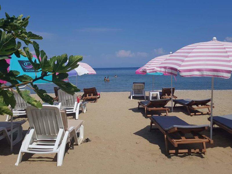 ECC3419B684B716A1FDD938726231819