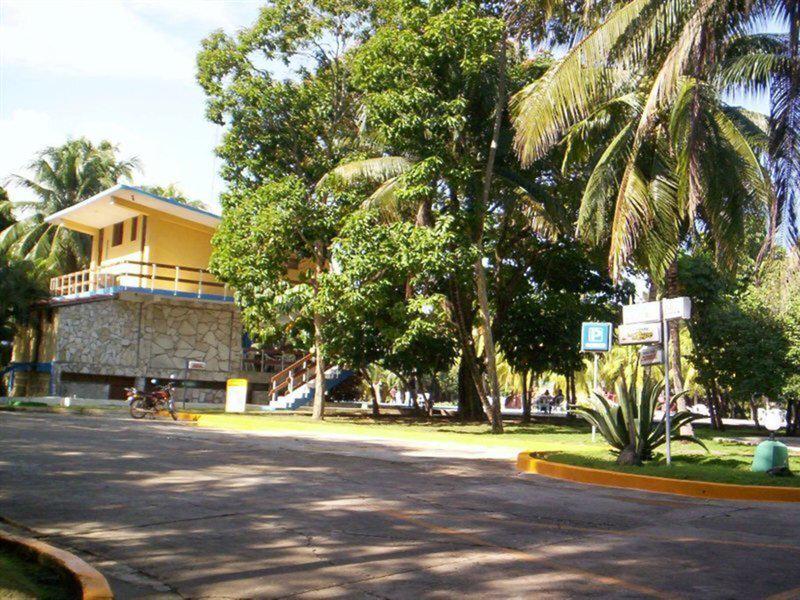 A2683AA45A0158FCFF1E224A364E3A03