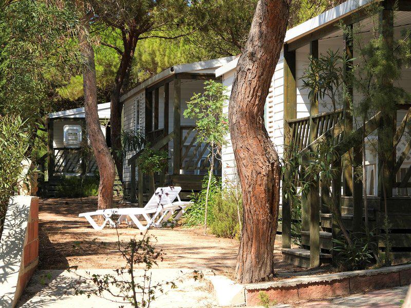 1AF29B241641C0E03D0FDE353BC0BE6E