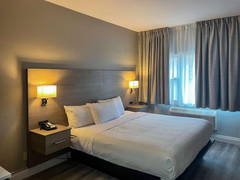 C19BDC385A87FEF94819E64C3C114950