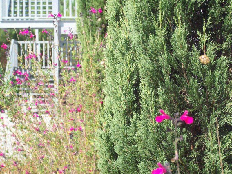 8C7ACBD69F378C53C7871411FDC423BB