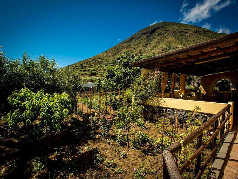 D517F18FB83DA5DDD9C53C8B5C99BC4D