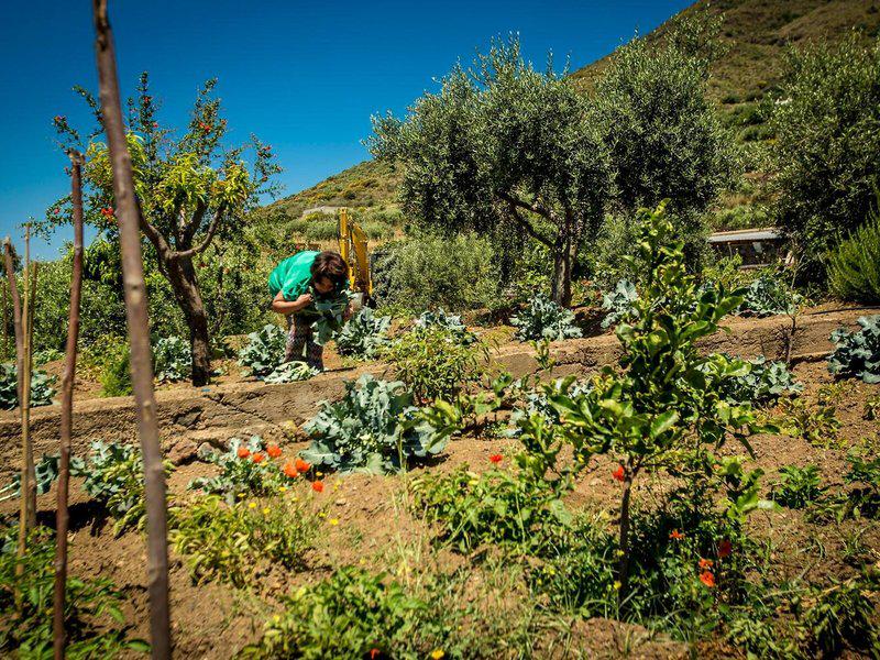 08EFEED6ADBFBC8A81500B58FA212F9D