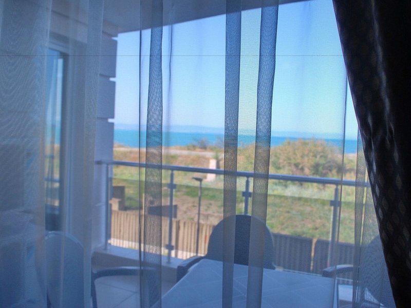 C45372B584EEBAC9EDE34019FF35B1F7