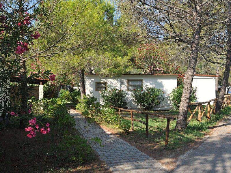 5721AADE2A8EE0EDD4798713918875C1