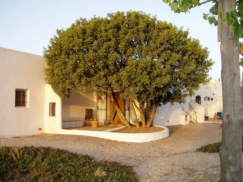 4F0129139F8734513D7D26EAA14D0884