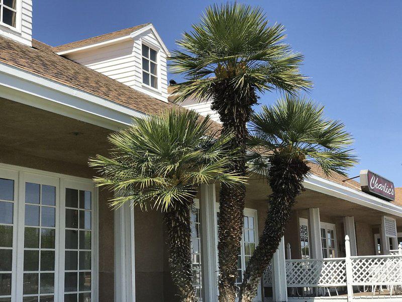 B2C4874E0257DFF4438D772ED5574B15