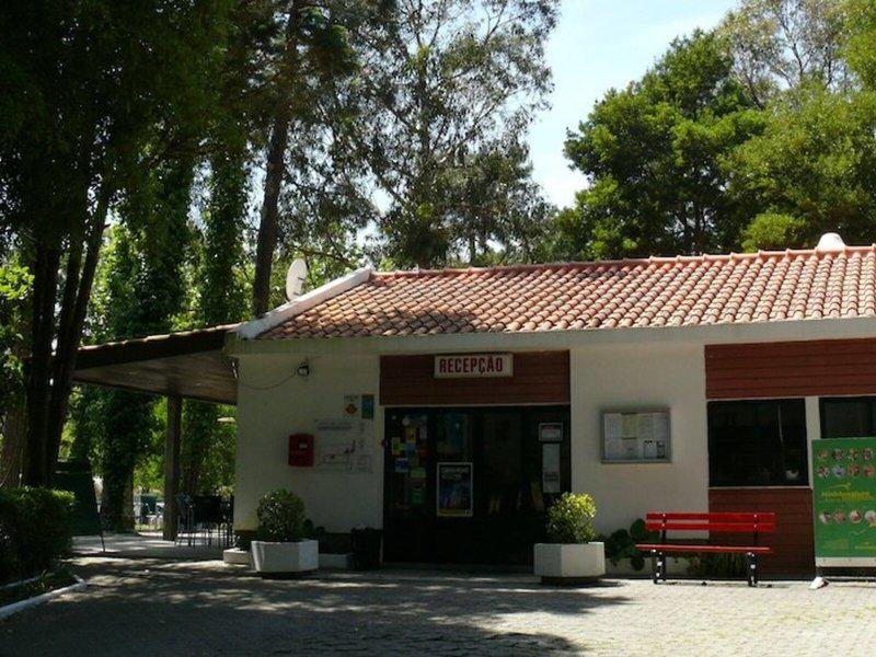 157095C68576798CBA3DBE836C5C676D