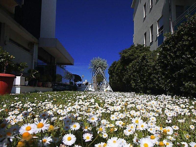 912515E7B4E80A810930F000BF9D6165