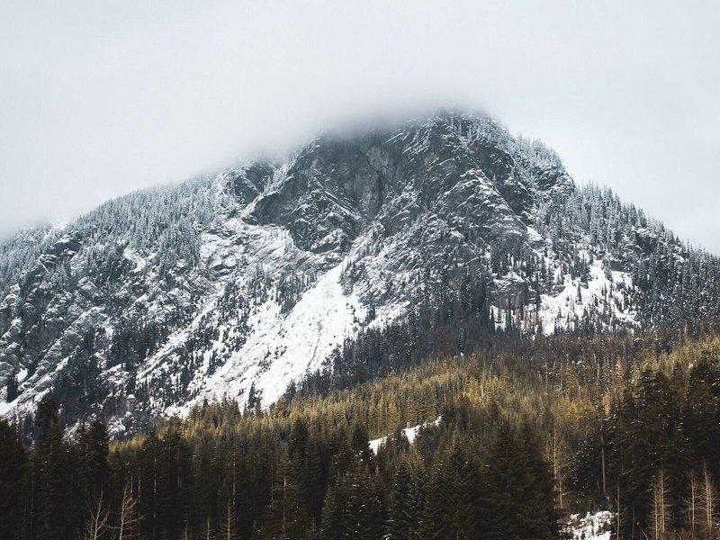 CF333DF5D101BD59898D731C078900CA