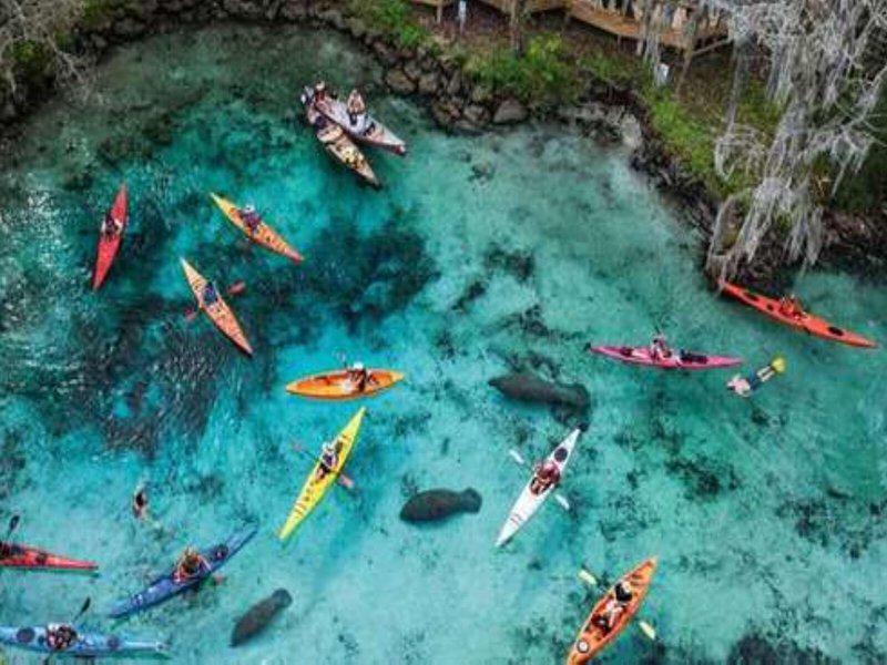 496ADF24ECBFA7910A74A4F872372EF7