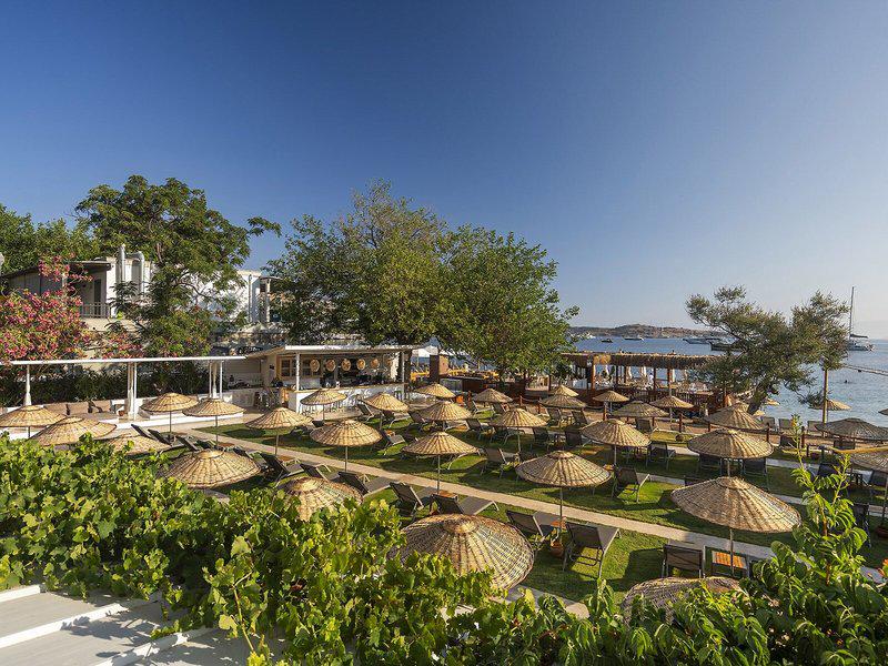 93D864DA63320F83AB902CCD7B382826