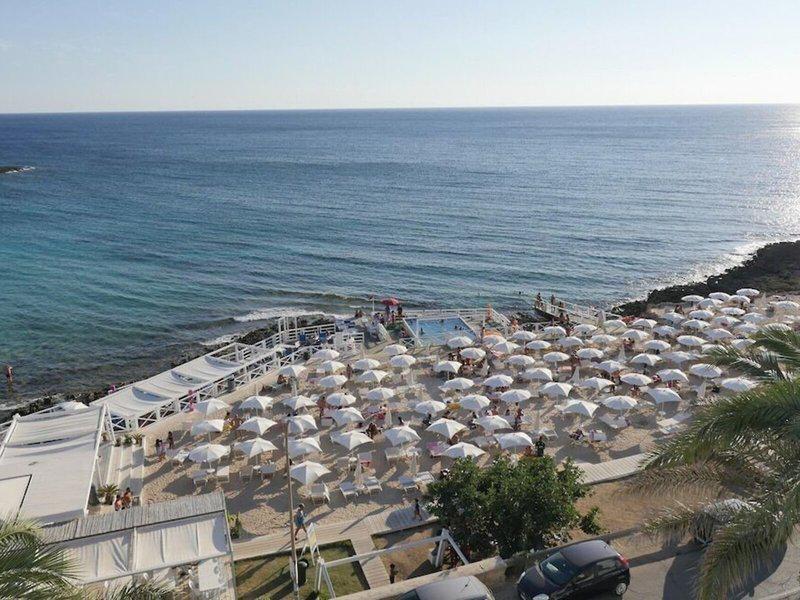 F16086CA5FB0865833E48684E166BB0A