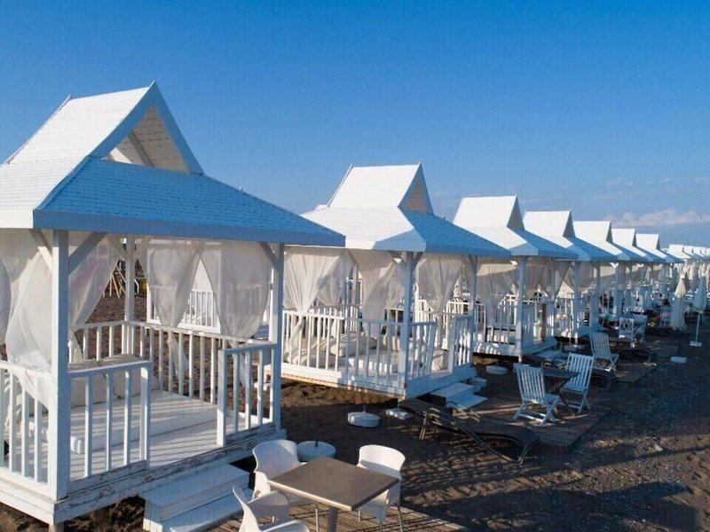 27A530DD833BB0F082D83E251D637CA8