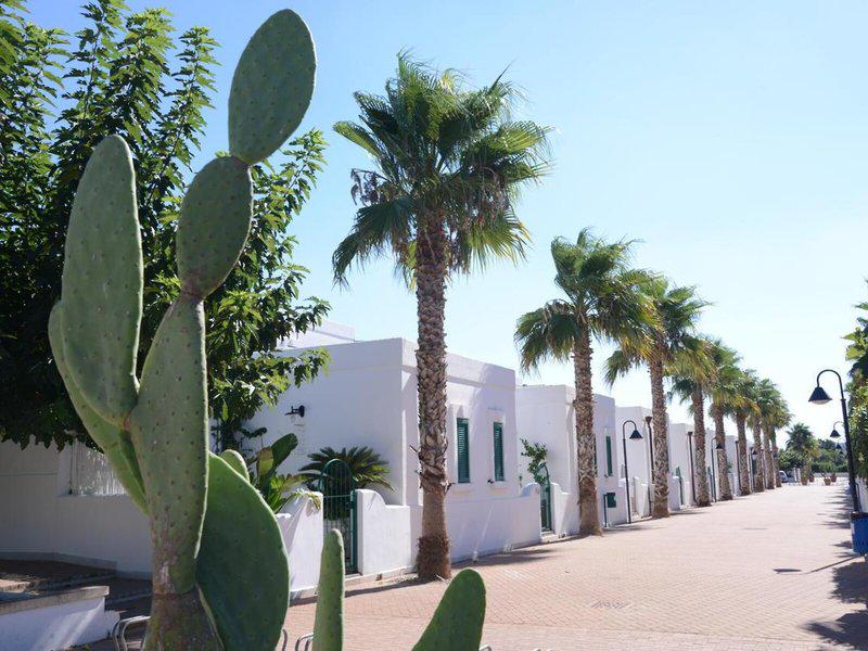 14783B6C706A8A852AFD60663E56B7A8