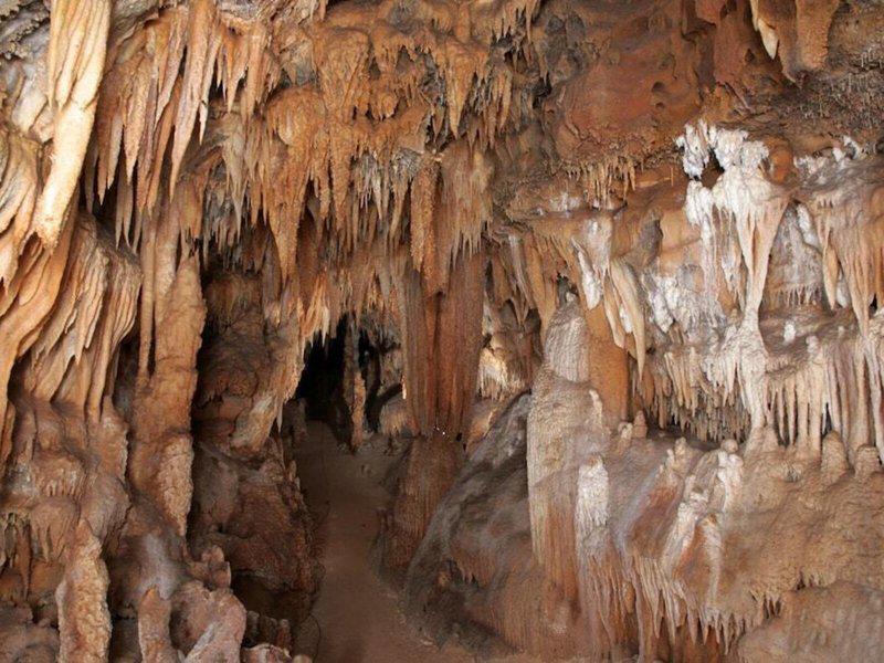 E14A32A70A6D14BC4880F54EBD155F2E