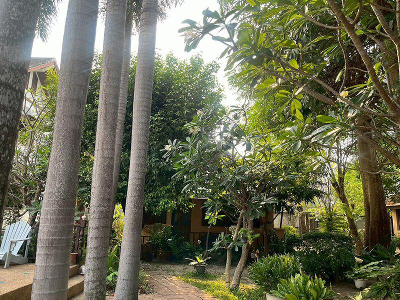 25D76FC1181A689D57FE6C3FDAA7B7E8