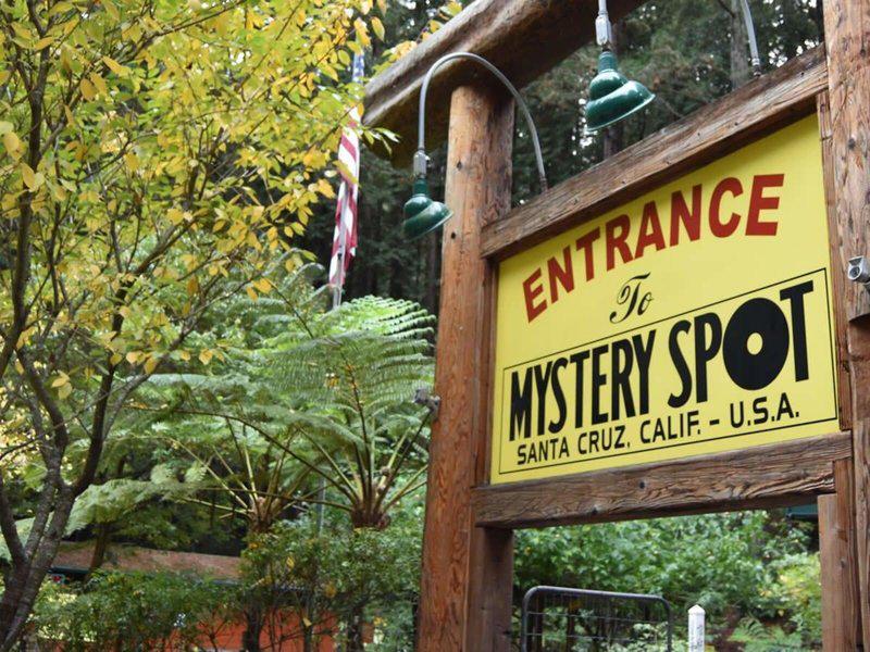 C3F319CC524888BECDA1CC9961DAF314