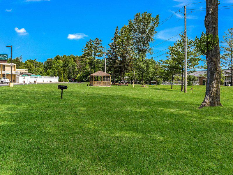 CBD496EDF7A123705987B851EE6983C8