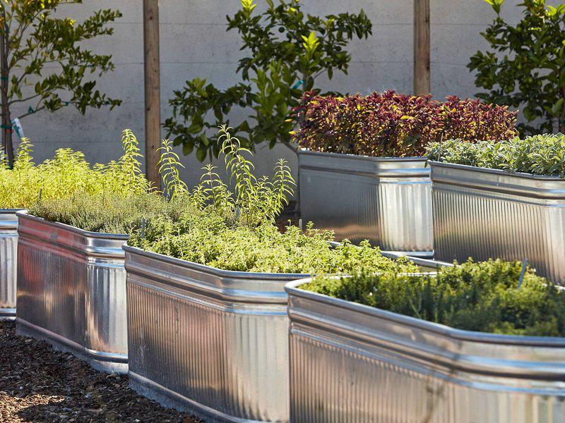 10F2BD16B9E32C2BB4BA92F2076A9E1B