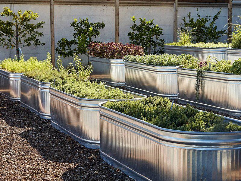 DBC6B68CF9FFDB63908FB5F6DB17A73C