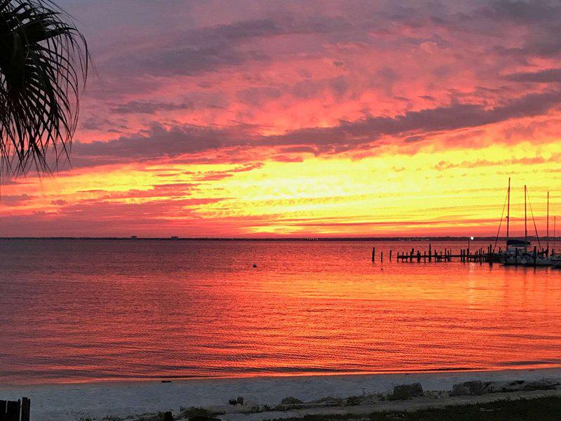 57D3F24A263971B2DADB40CCF4EF99C5