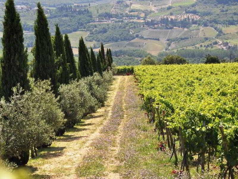 9BD27DAC820EE7322B3DE19011FC7368