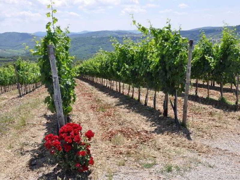 235B38CBD336754AEB69EE044E3F1ED1