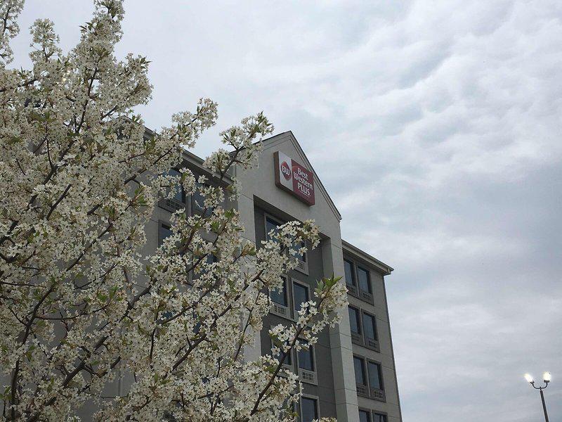 F6B386A3B13314DF457792DFBB32308C