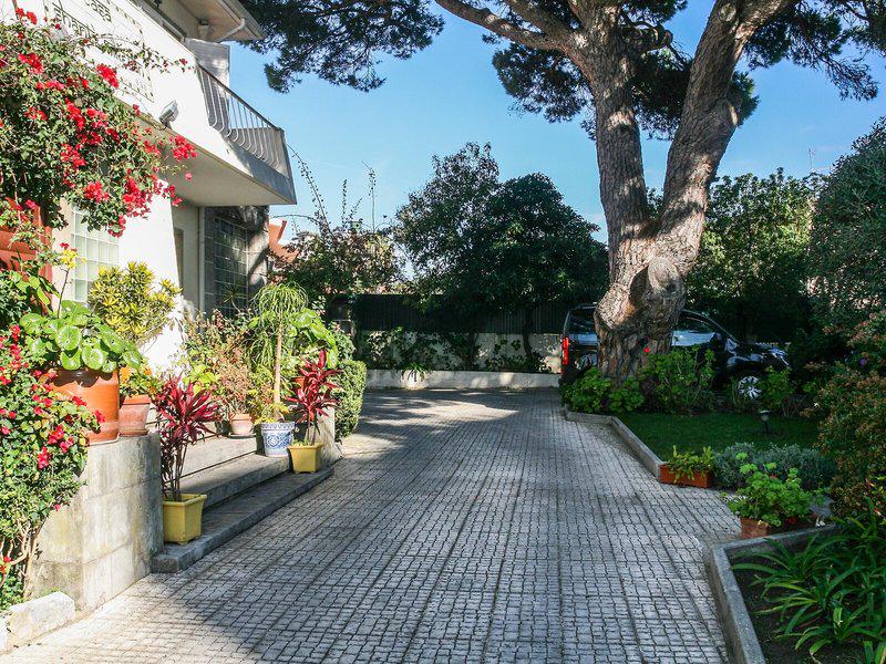 0B361380B8BC366F7F8D7A58EE4A0103